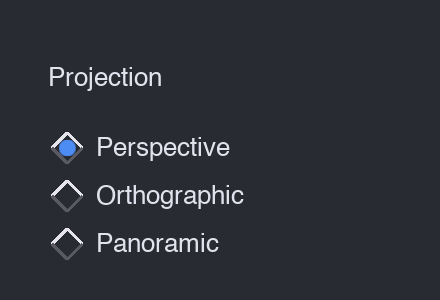 A vertical radio group of three projection options